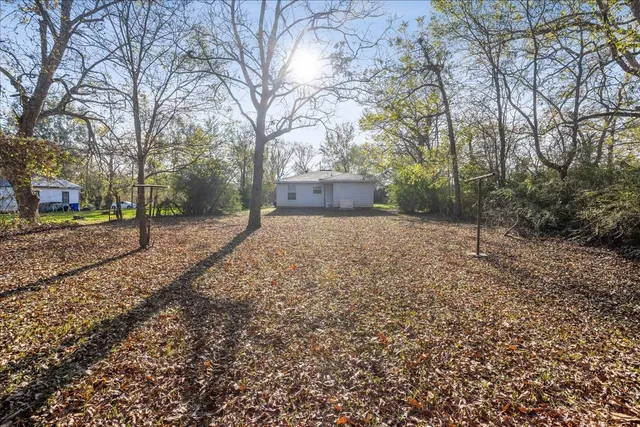 a view of a yard with plants and trees