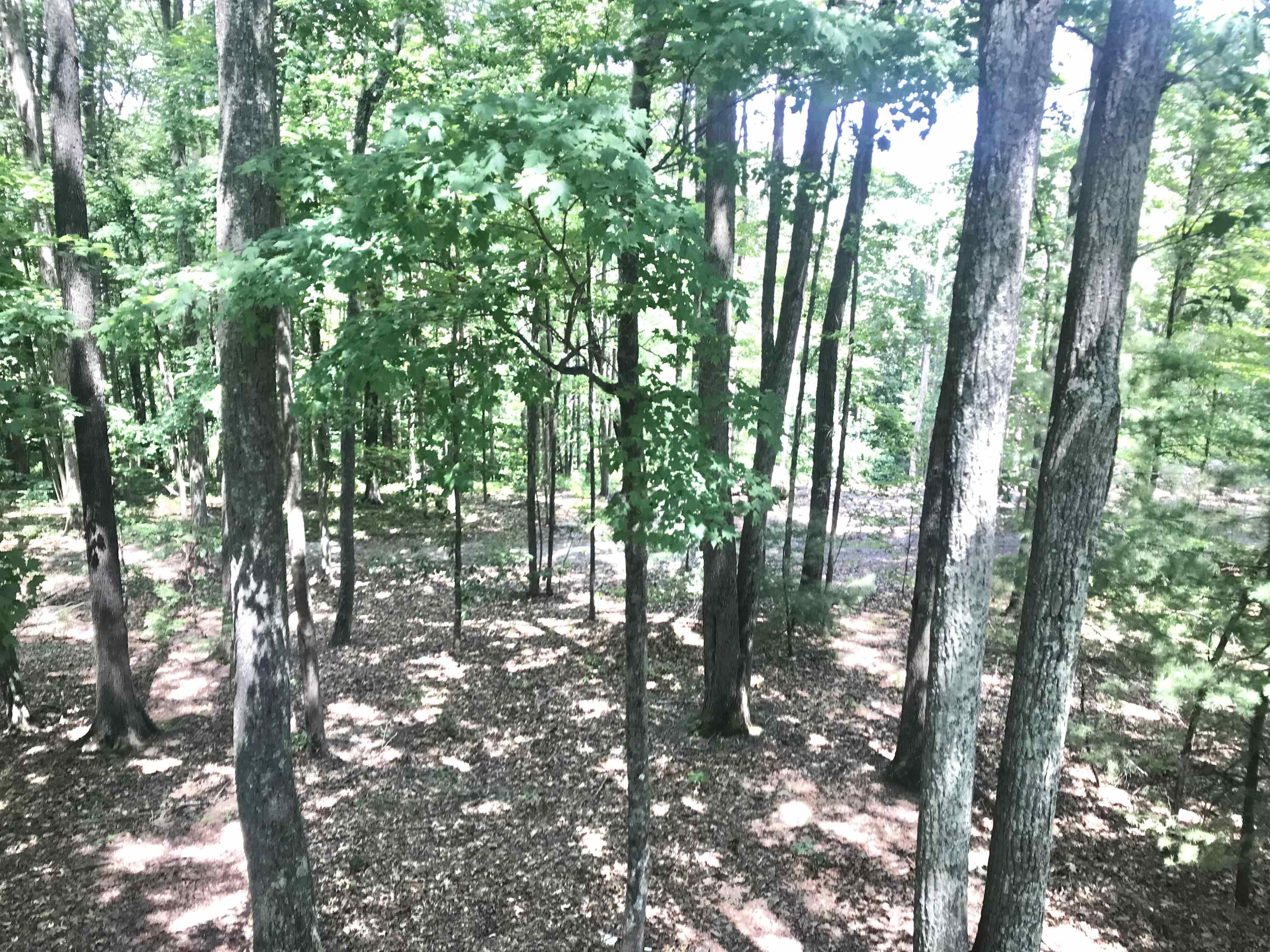 348 Adams Acres Road Wellington, KY 40387 - Photo 24 of 32