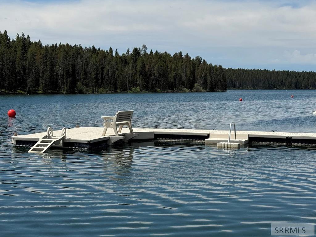 3776 Snake River Road Island Park, ID 83429 - Photo 3 of 74 Water Front