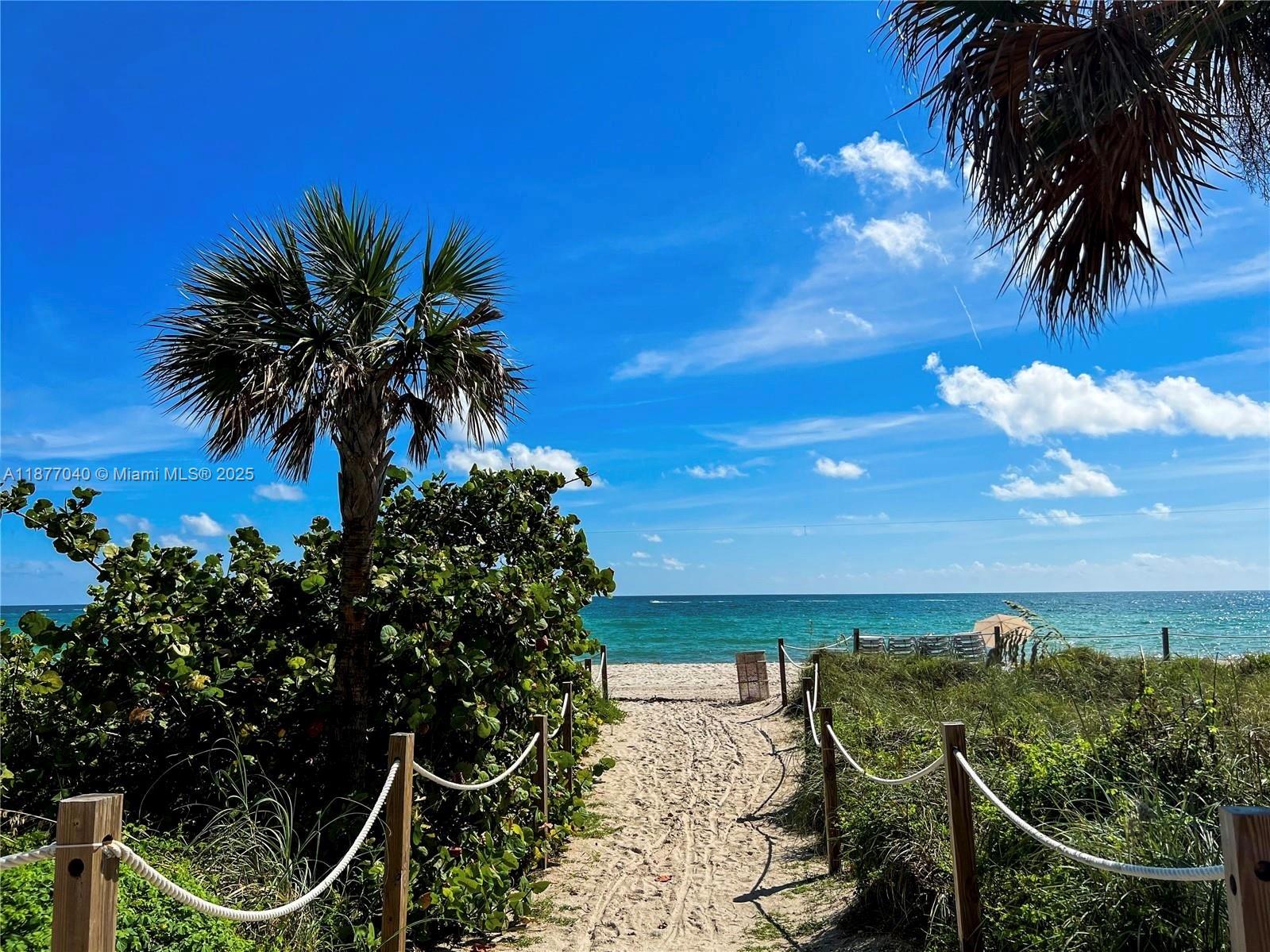 5161 Collins Avenue, Unit 511 Miami Beach, FL 33140 - Photo 26 of 29 a view of a terrace with a tree
