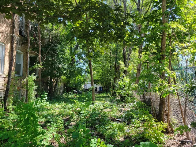 $26,500 | 1549 South Trumbull Avenue, Chicago, IL 60623