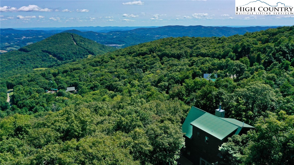 199 Eagle Roost Run Boone, NC 28607 - Photo 4 of 50