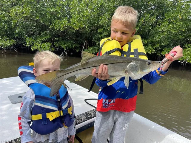 a view of a wooden floor with windows