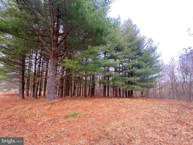 $125,000 | 2040 Hoffmaster Road, Knoxville, MD 21758