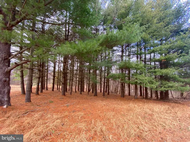 $125,000 | 2040 Hoffmaster Road, Knoxville, MD 21758