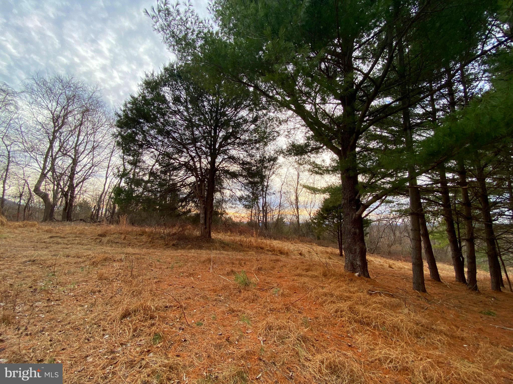 2040 Hoffmaster Road Knoxville, MD 21758 - Photo 14 of 14