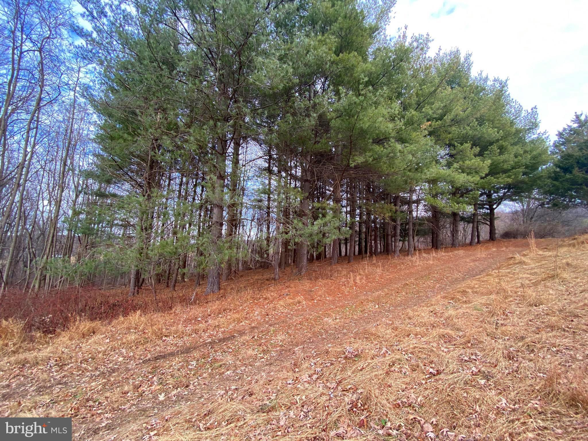 2040 Hoffmaster Road Knoxville, MD 21758 - Photo 3 of 14