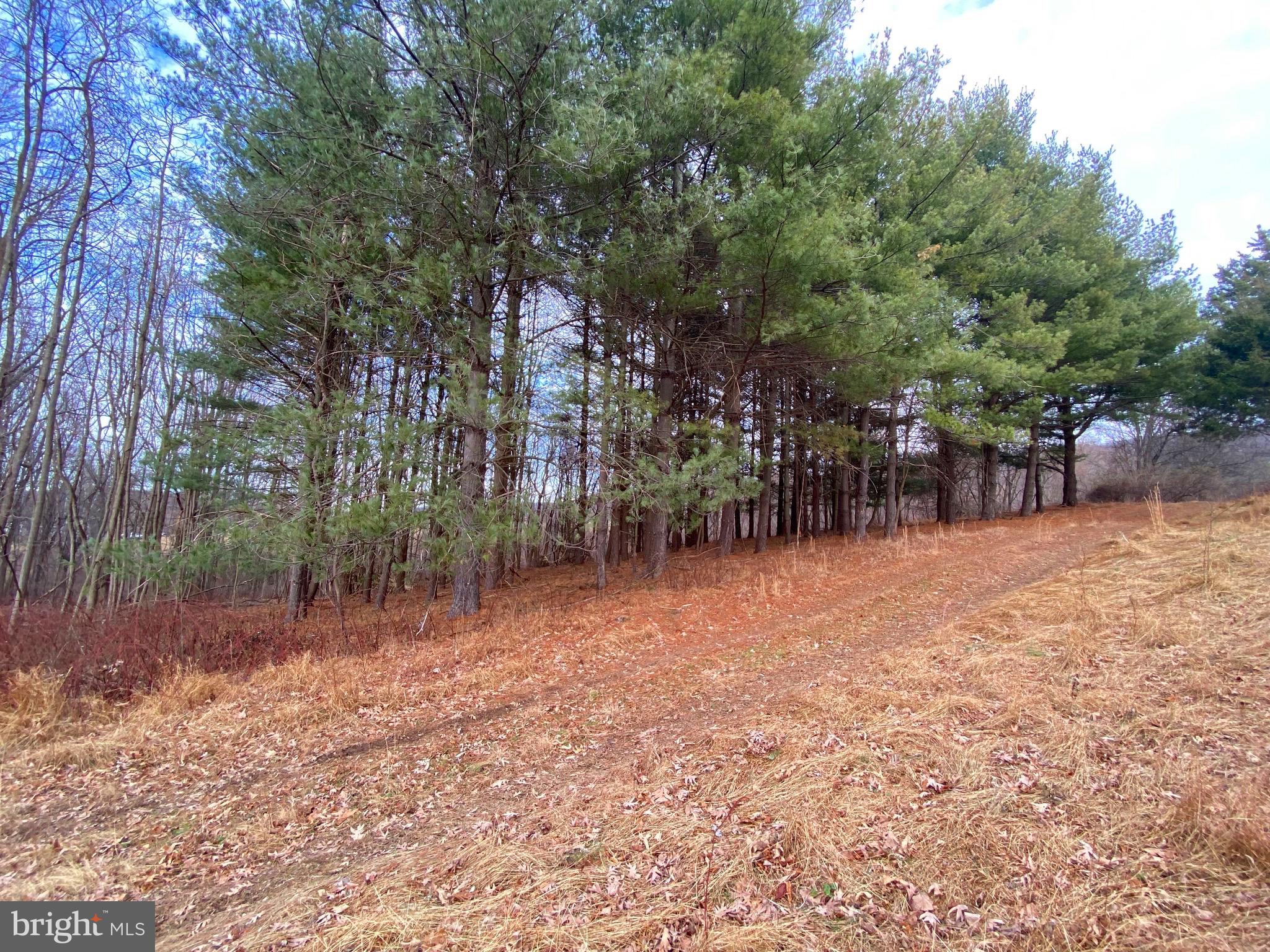 2040 Hoffmaster Road Knoxville, MD 21758 - Photo 7 of 14