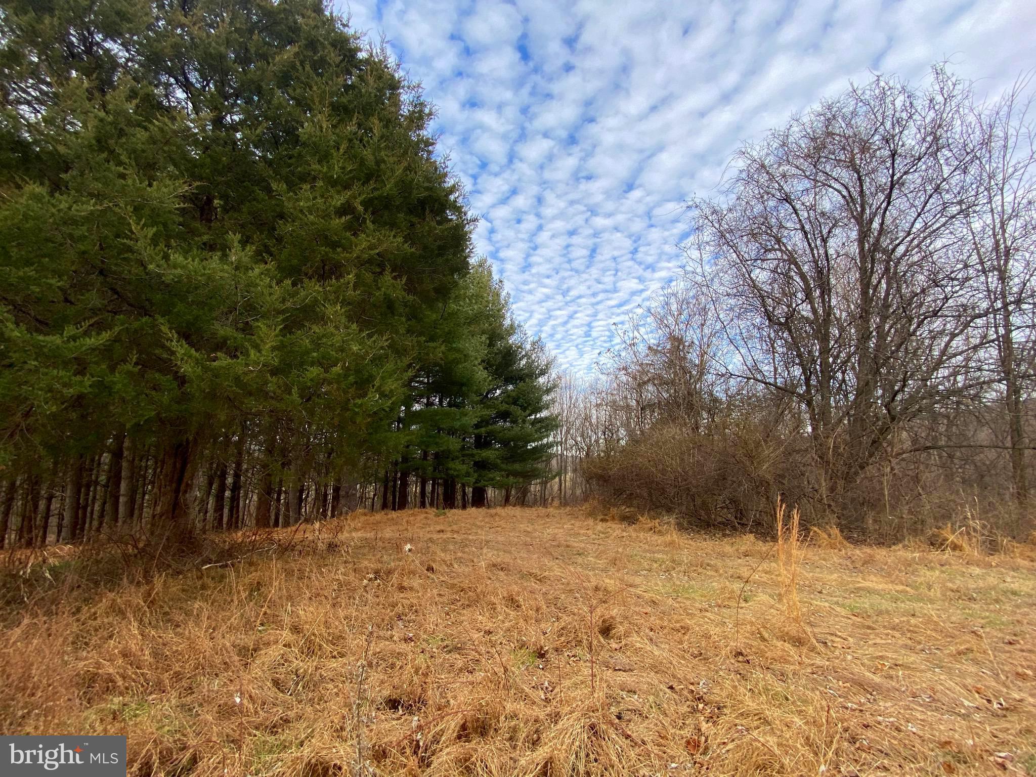 2040 Hoffmaster Road Knoxville, MD 21758 - Photo 9 of 14