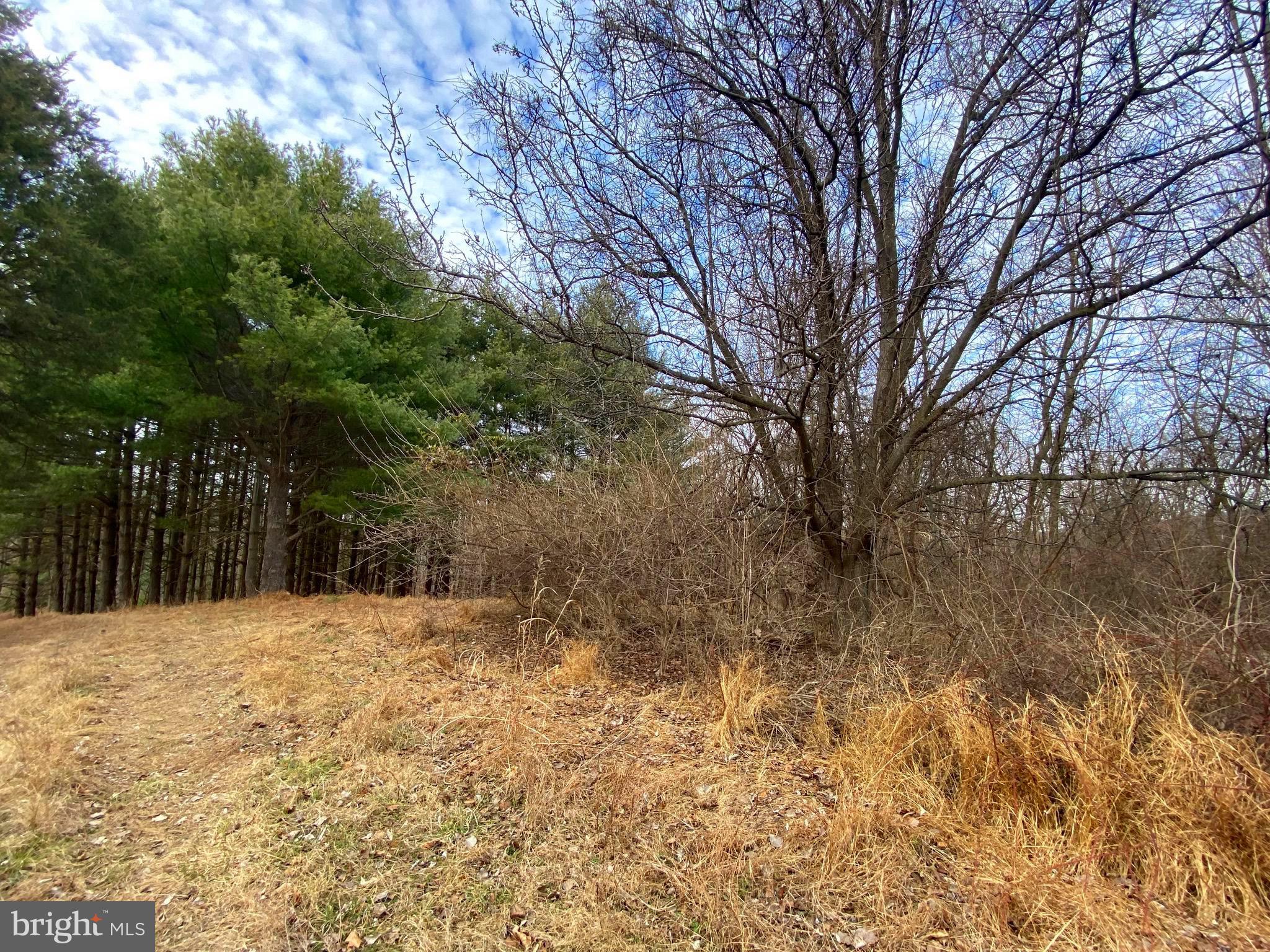 2040 Hoffmaster Road Knoxville, MD 21758 - Photo 10 of 14