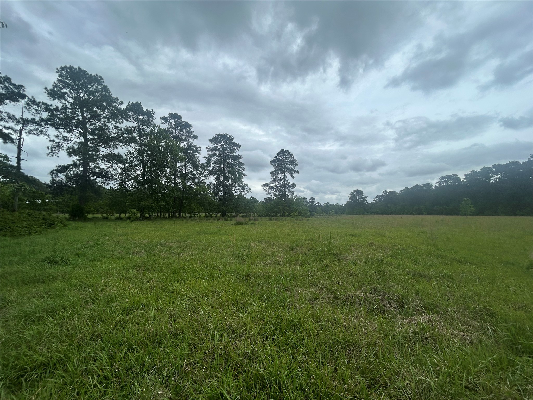 Lot 1 Minnie West Road Hull, TX 77564 - Photo 9 of 16 a view of yard with green space