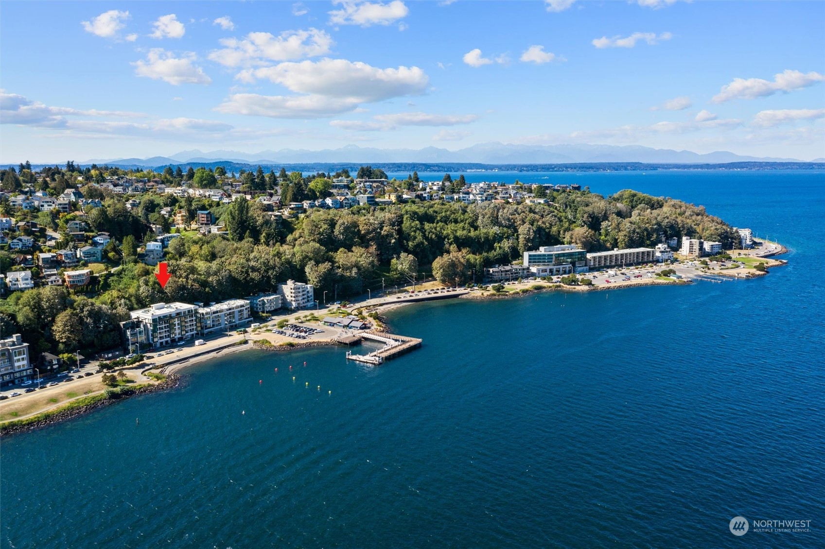 1661 Harbor Avenue Southwest, Unit 600 Seattle, WA 98126 - Photo 33 of 40 an aerial view of a house with a garden and lake view