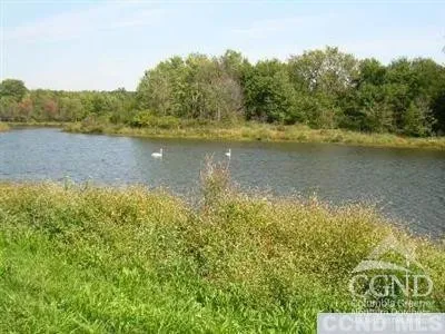 a view of a lake from a yard