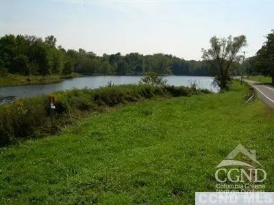a view of a lush green forest with lots of trees