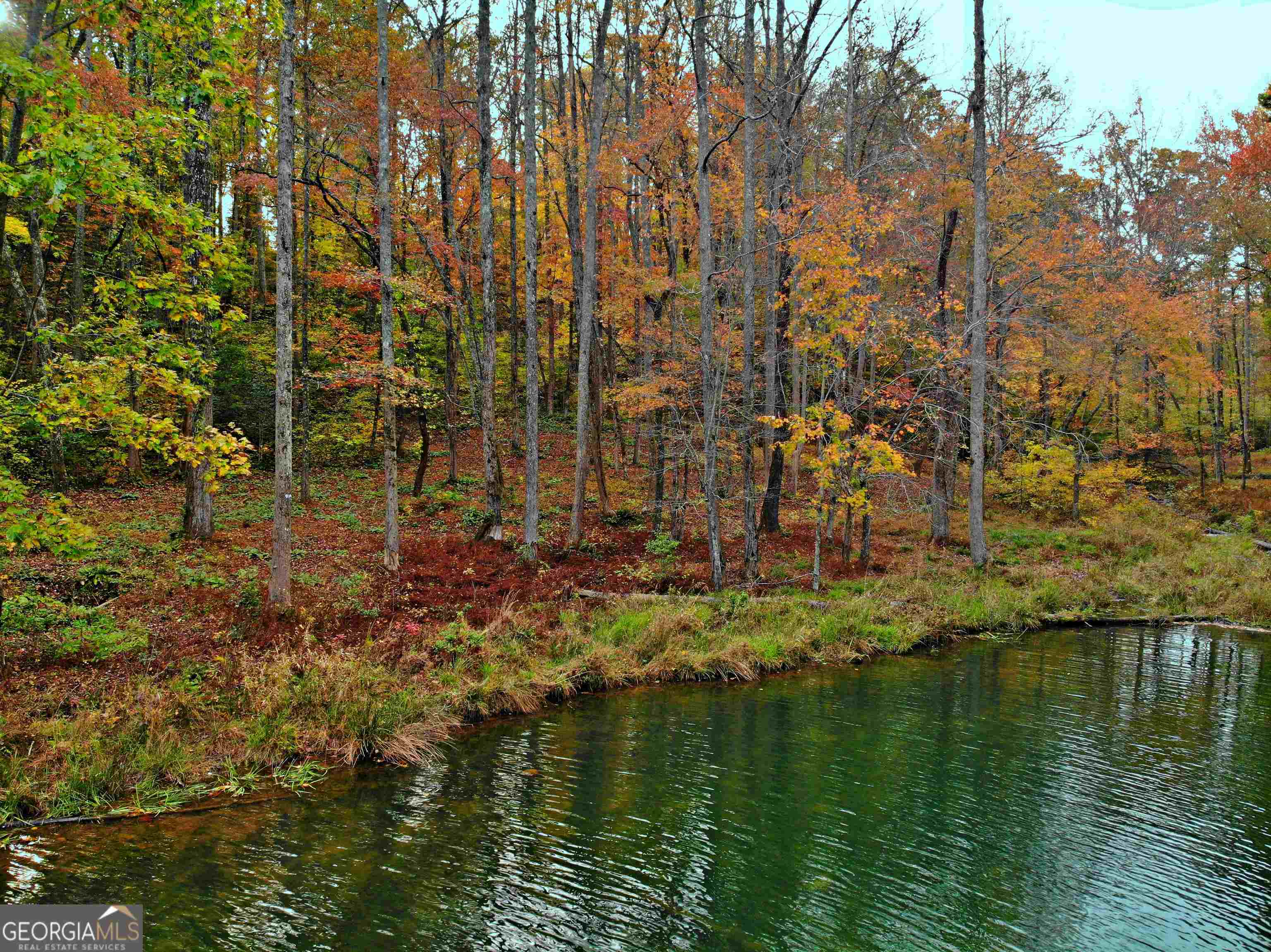 Lot 157 North Laceola Road, Unit 157 Cleveland, GA 30528 - Photo 4 of 15