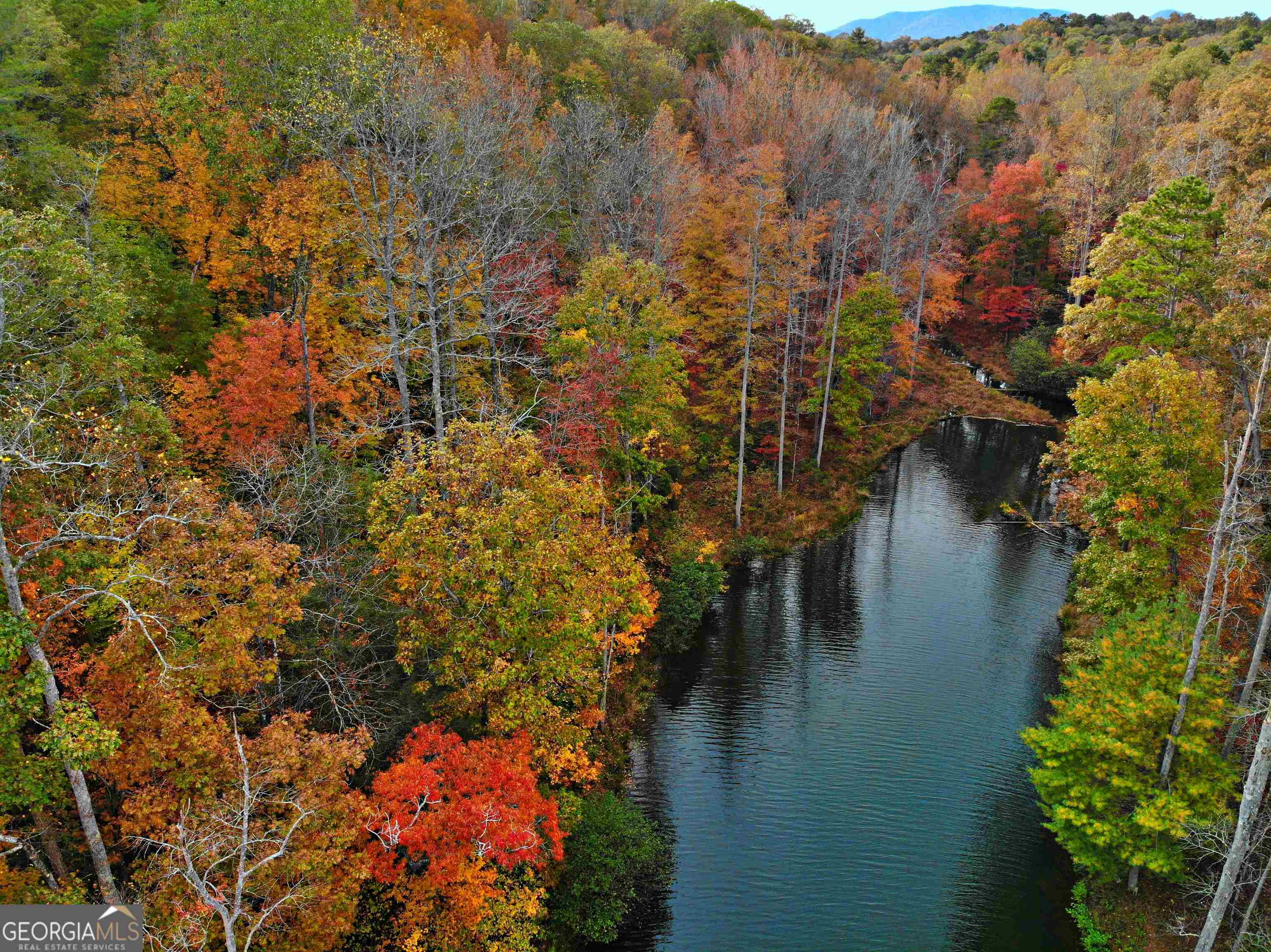 Lot 157 North Laceola Road, Unit 157 Cleveland, GA 30528 - Photo 6 of 15