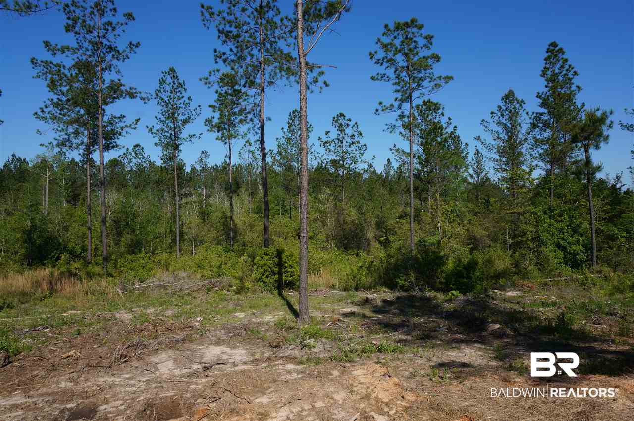 49989 Dyas Road Bay Minette, AL 36507 - Photo 32 of 33