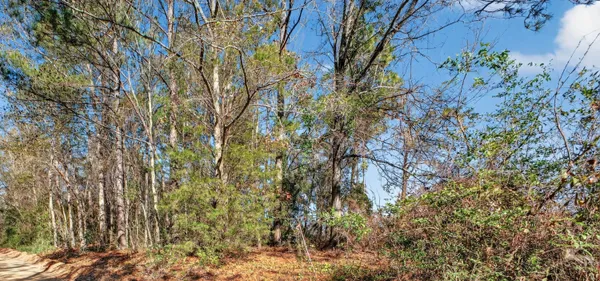 $15,900 | 469 Harlem Street, New Ellenton, SC 29809