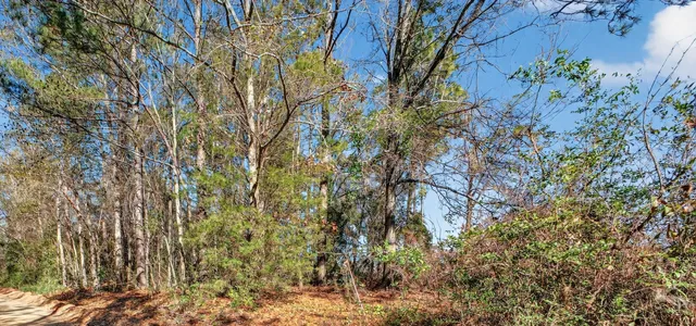 $16,999 | 469 Harlem Street, New Ellenton, SC 29809