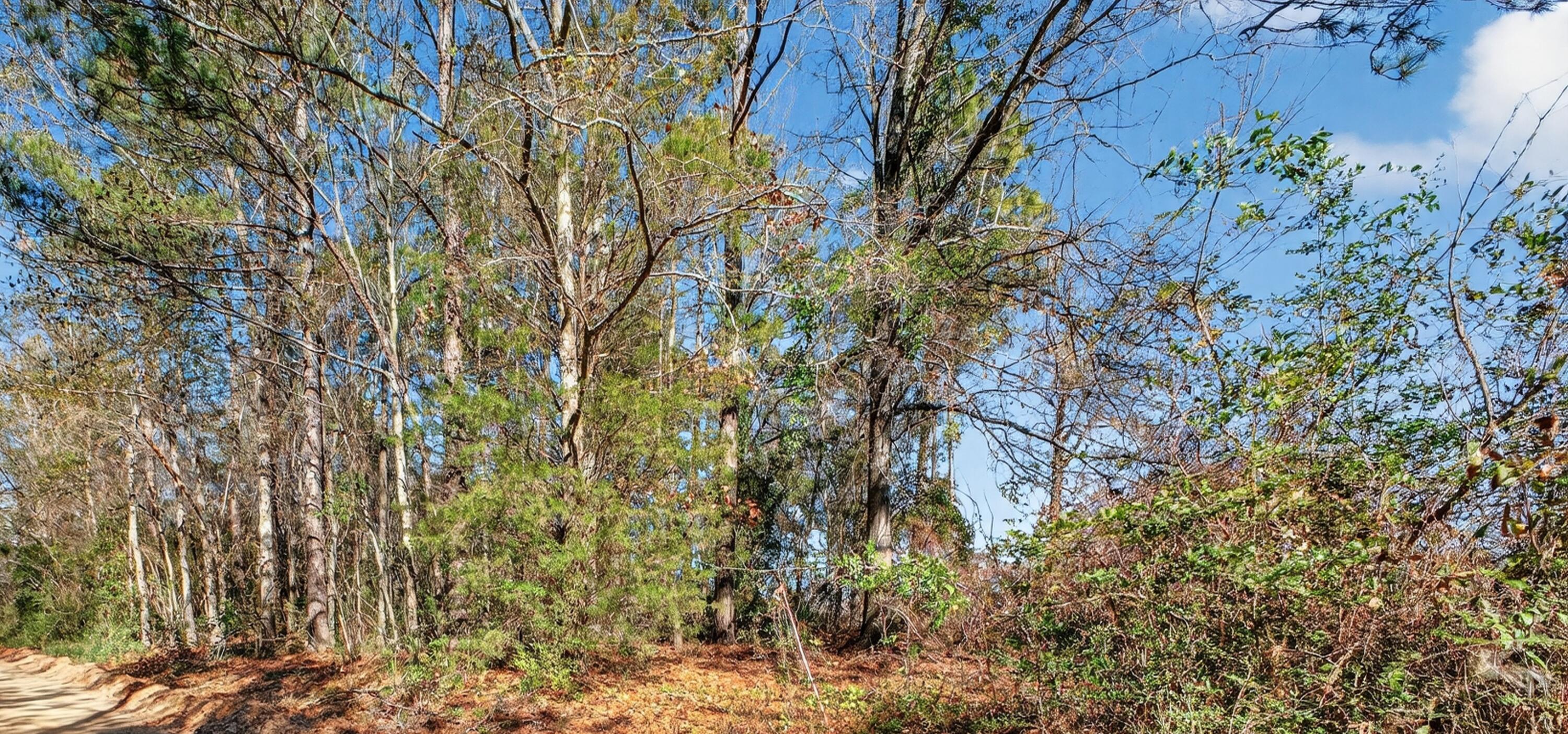 469 Harlem Street New Ellenton, SC 29809 - Photo 1 of 1 Front Of Lot