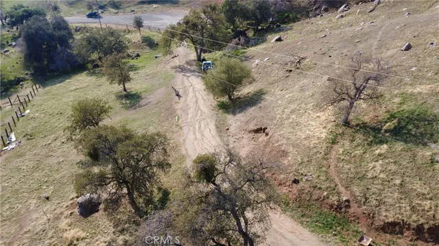 a view of a dry field with lots of trees
