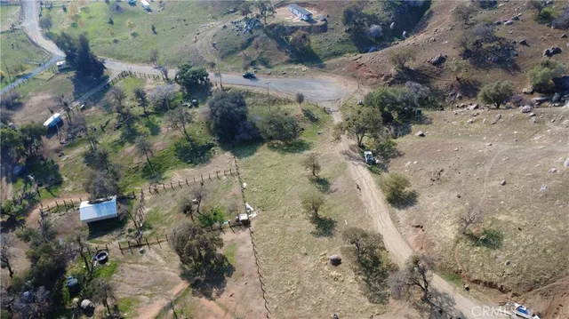 a view of a dry yard with lots of trees