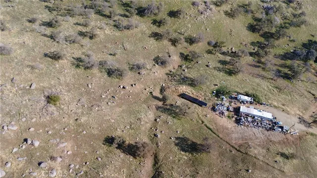 a view of a dry yard with trees and stairs