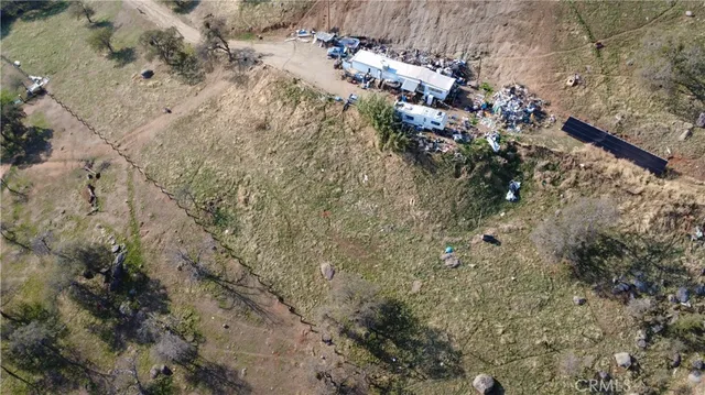 a view of a tree in a yard