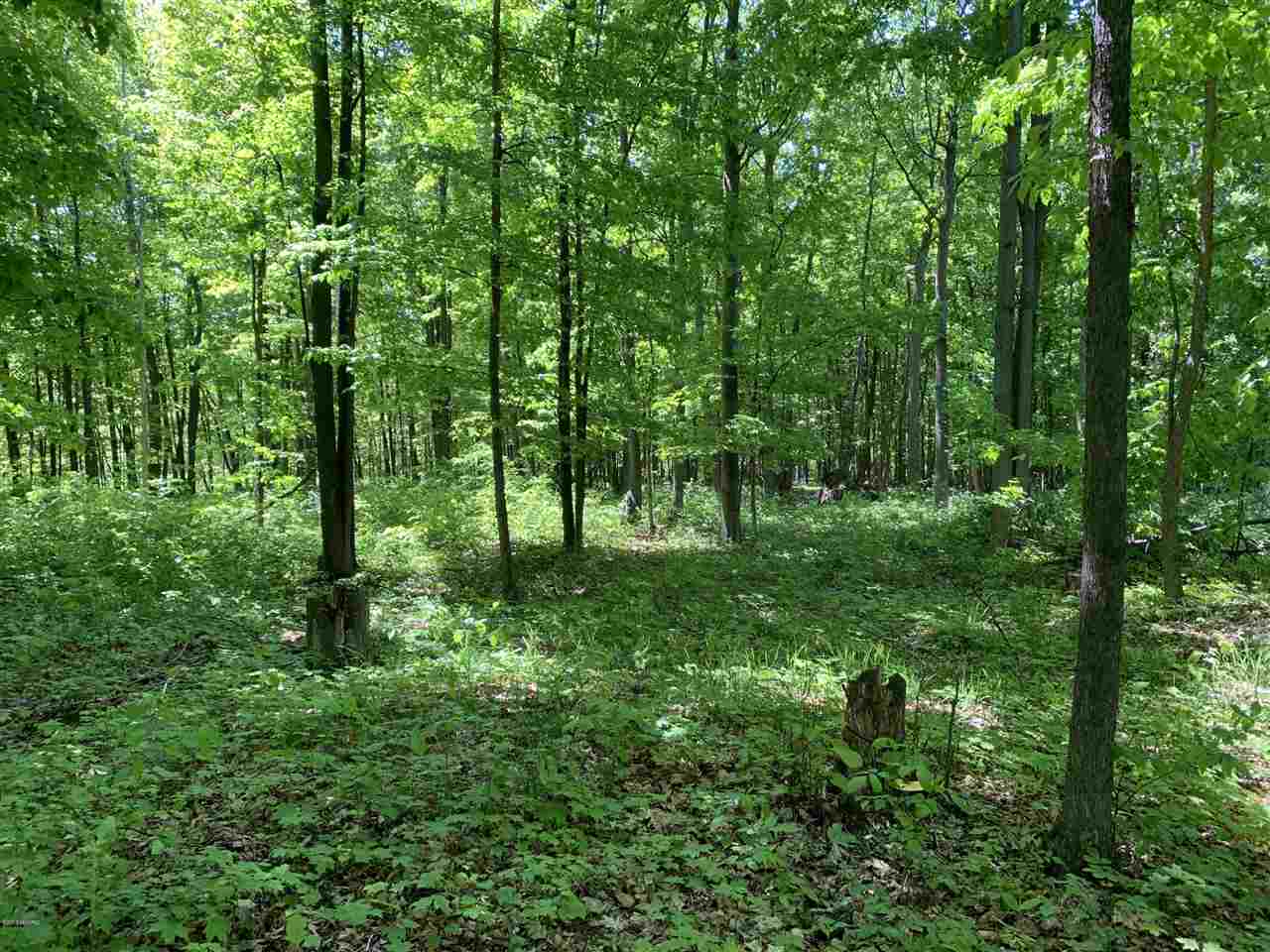 4.05 West Baseline Road Hart, MI 49420 - Photo 5 of 6