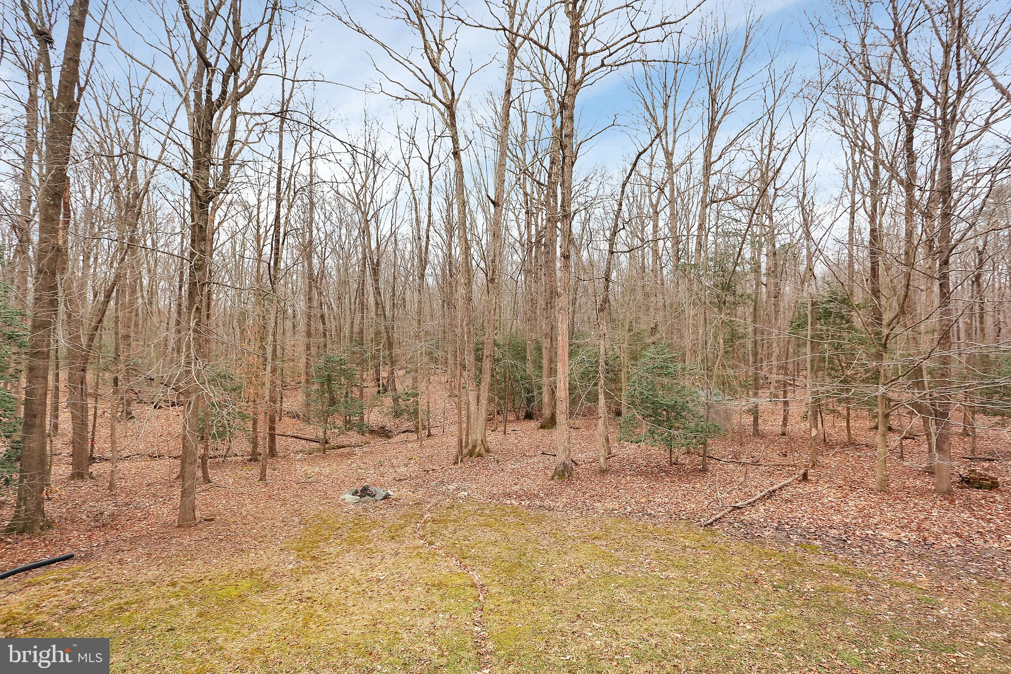 11836 Harley Road Lorton, VA 22079 - Photo 11 of 46 Gallery Image 11