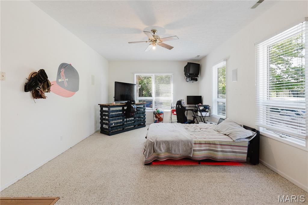 42 Hickory Road Nashville, IL 62263 - Photo 38 of 78