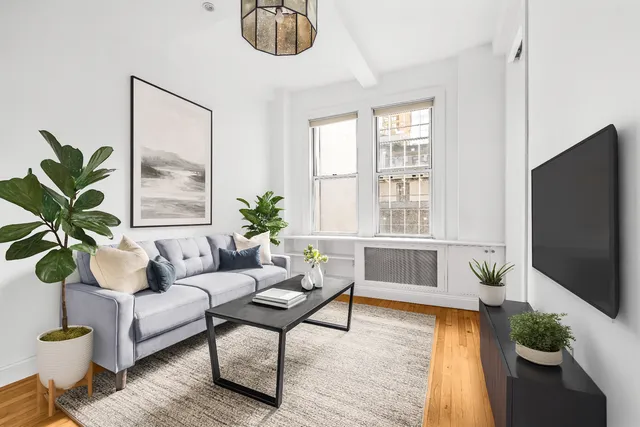 a living room with furniture and a potted plant