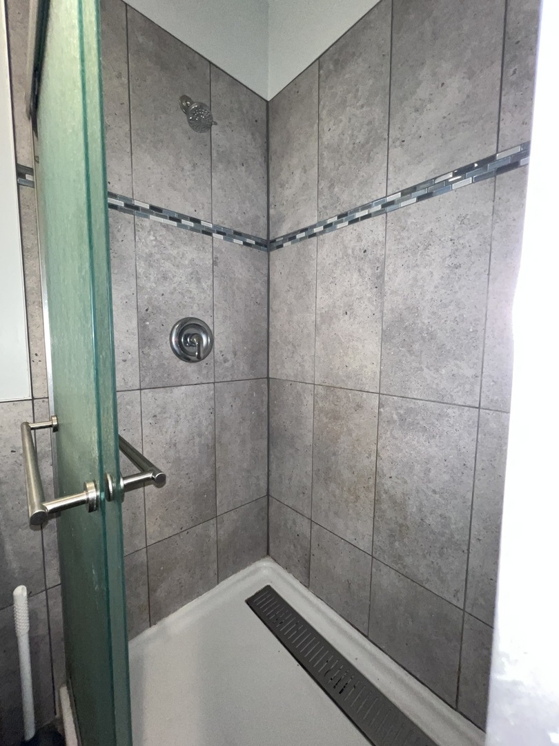 4815 South Elizabeth Street, Unit 2F Chicago, IL 60609 - Photo 8 of 30