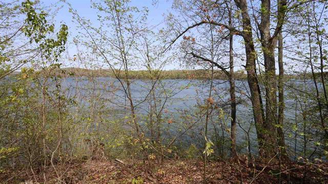 Lot 22 Hilltop Cir Spring, Unit 22 Spring City, TN 37381 - Photo 9 of 14 9