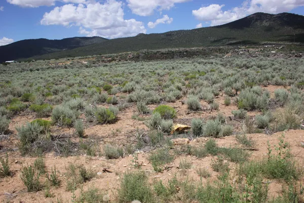$25,000 | Lot 12 Shirley Drive, Questa, NM 87556