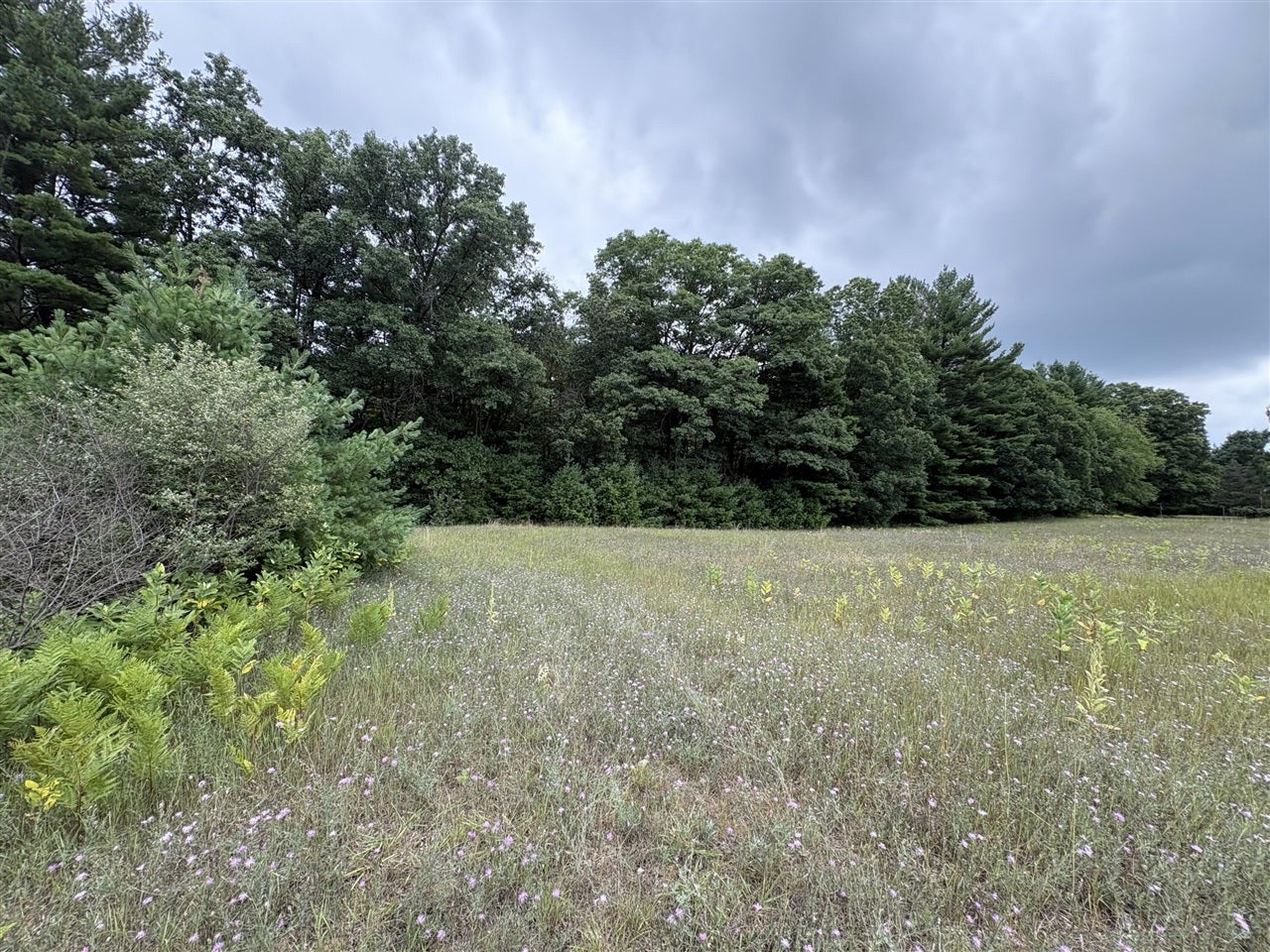 5 5 Mile Road Howard City, MI 49329 - Photo 4 of 99 Gallery Image 4