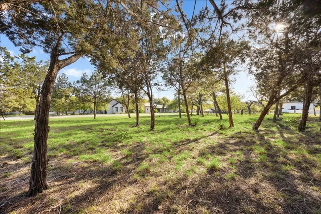 a view of field with trees