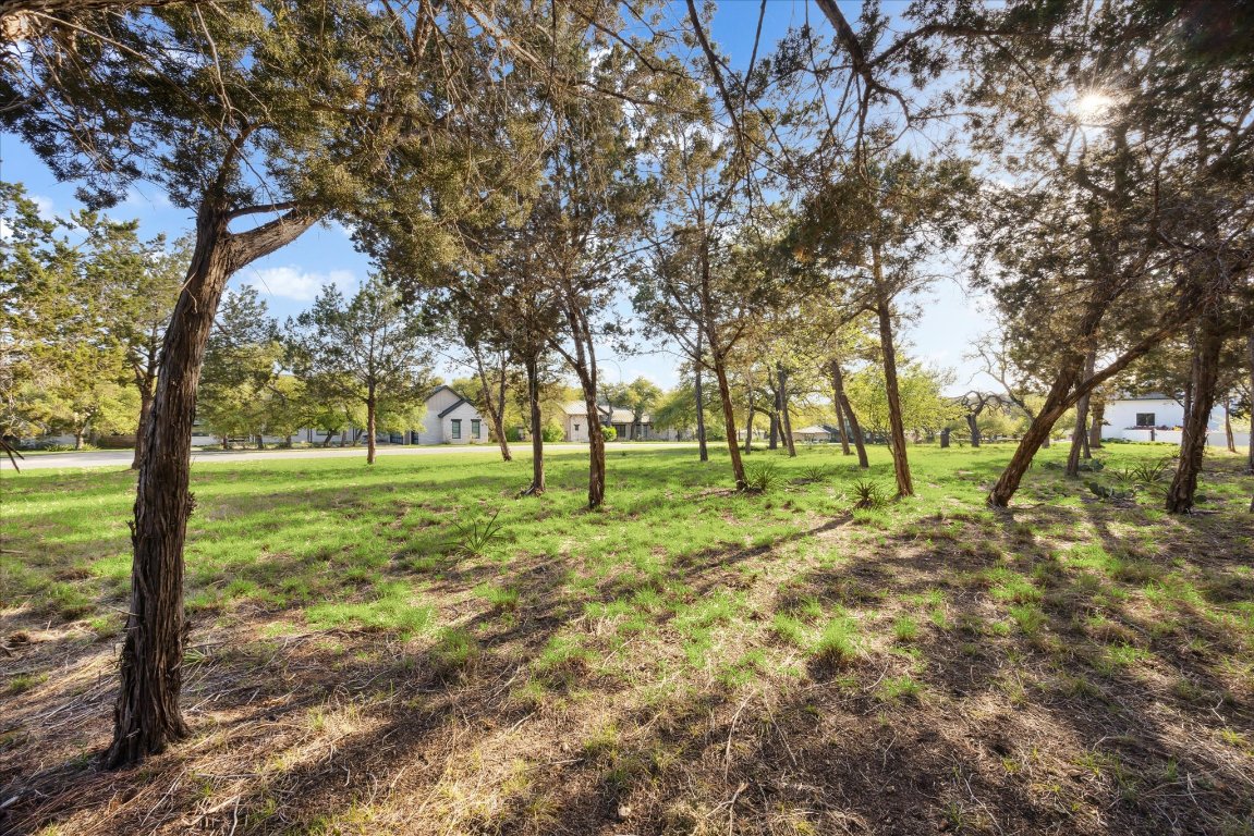 274 Waters Edge Dripping Springs, TX 78620 - Photo 1 of 9 a view of field with trees