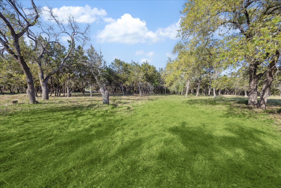 274 Waters Edge Dripping Springs, TX 78620 - Photo 2 of 9 a garden view