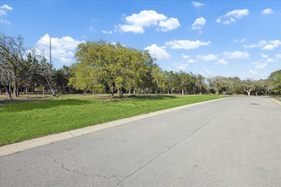 274 Waters Edge Dripping Springs, TX 78620 - Photo 4 of 9 a view of a city