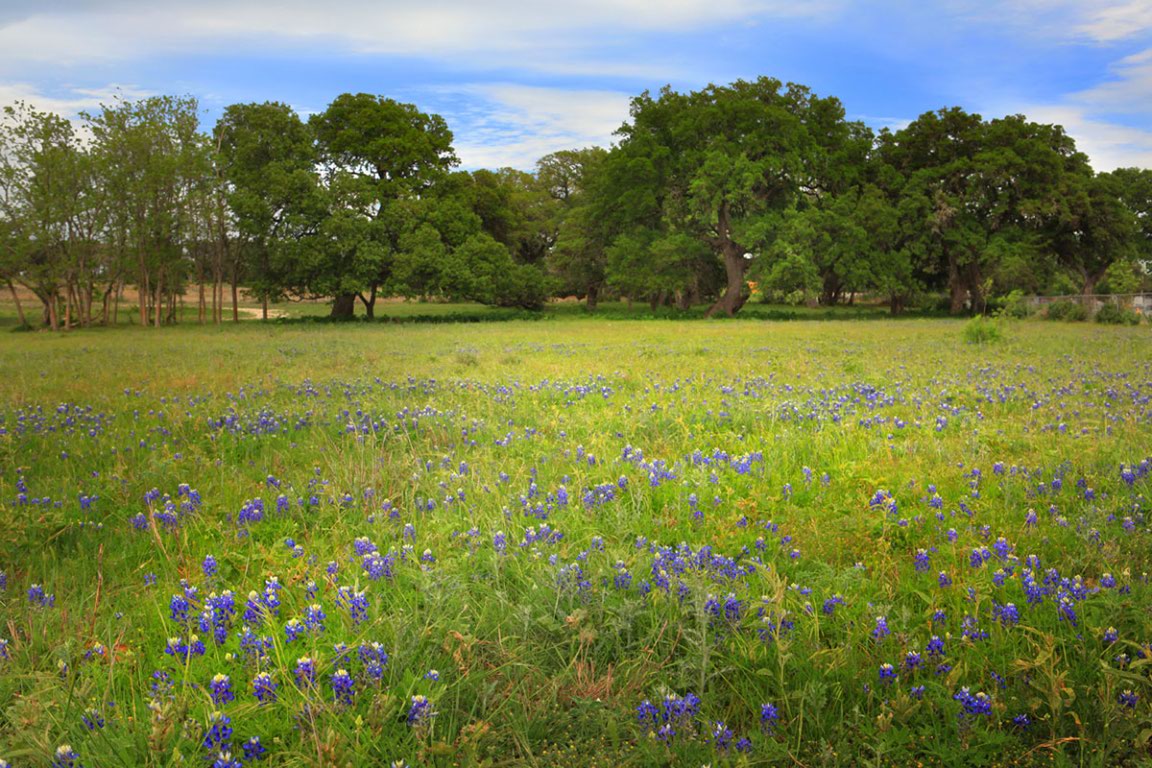 274 Waters Edge Dripping Springs, TX 78620 - Photo 8 of 9 a view of outdoor space with mountain view