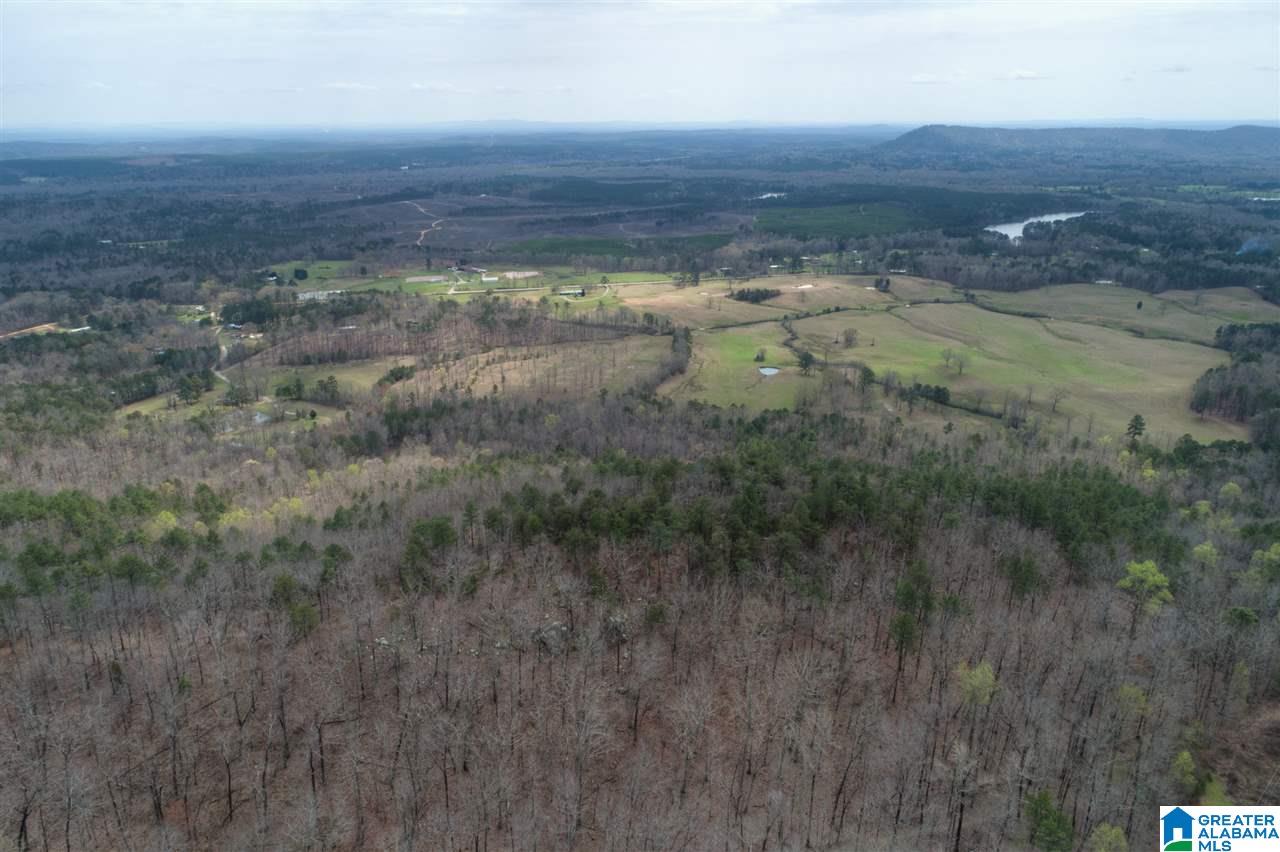1234 High Road, Unit 1 Columbiana, AL 35051 - Photo 11 of 38