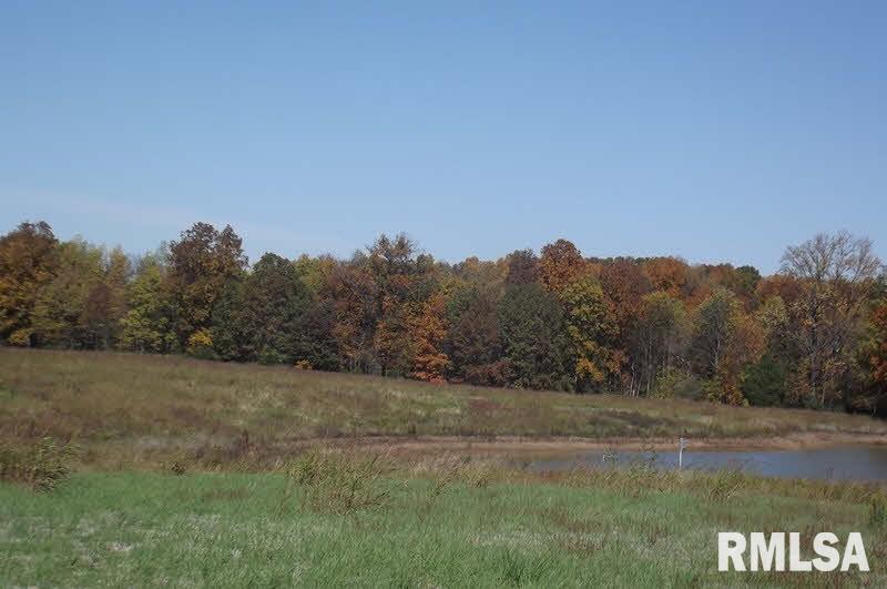 1845 Texas Eastern Road Buncombe, IL 62912 - Photo 3 of 33