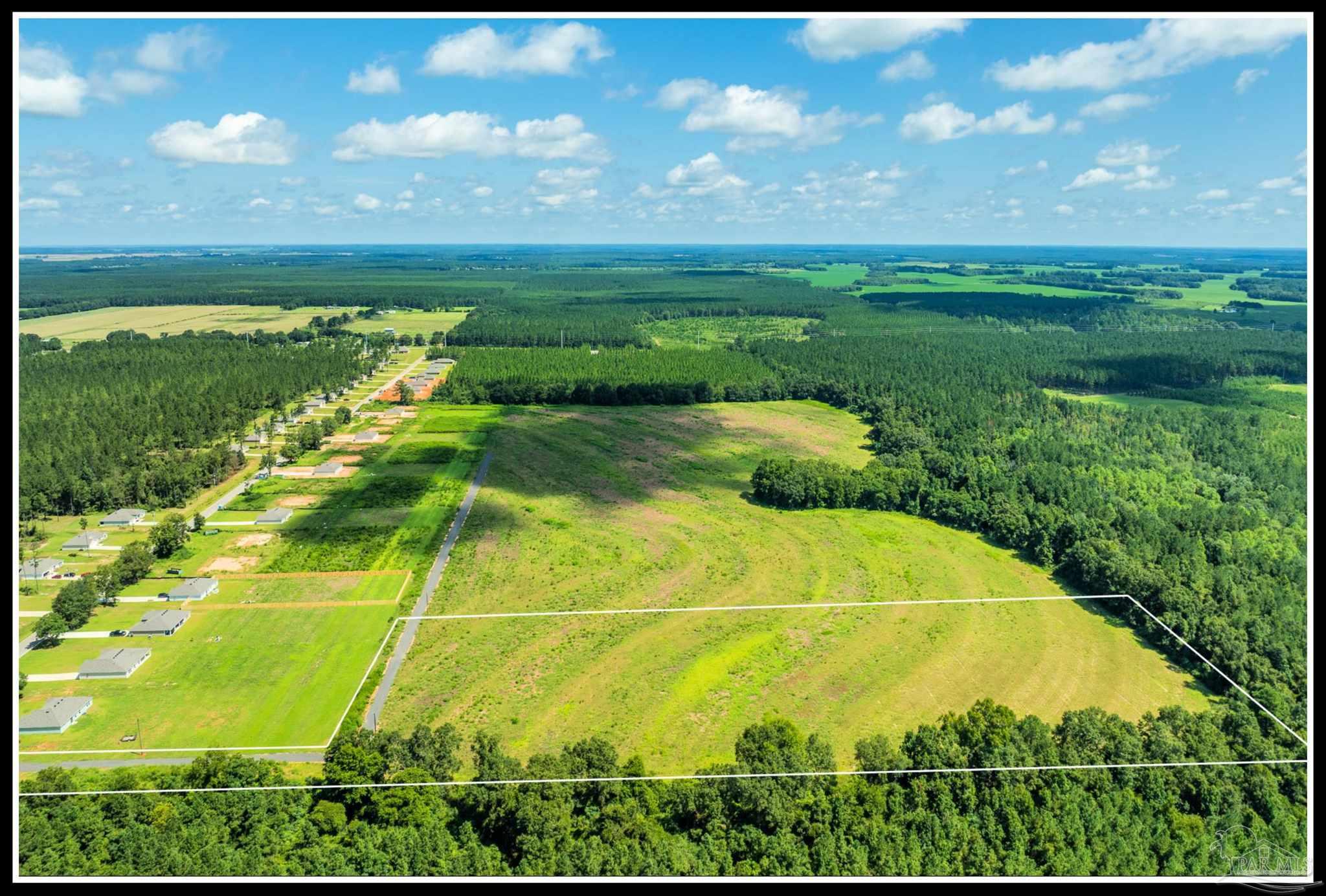 9150 3 Hollow Road Jay, FL 32565 - Photo 4 of 11