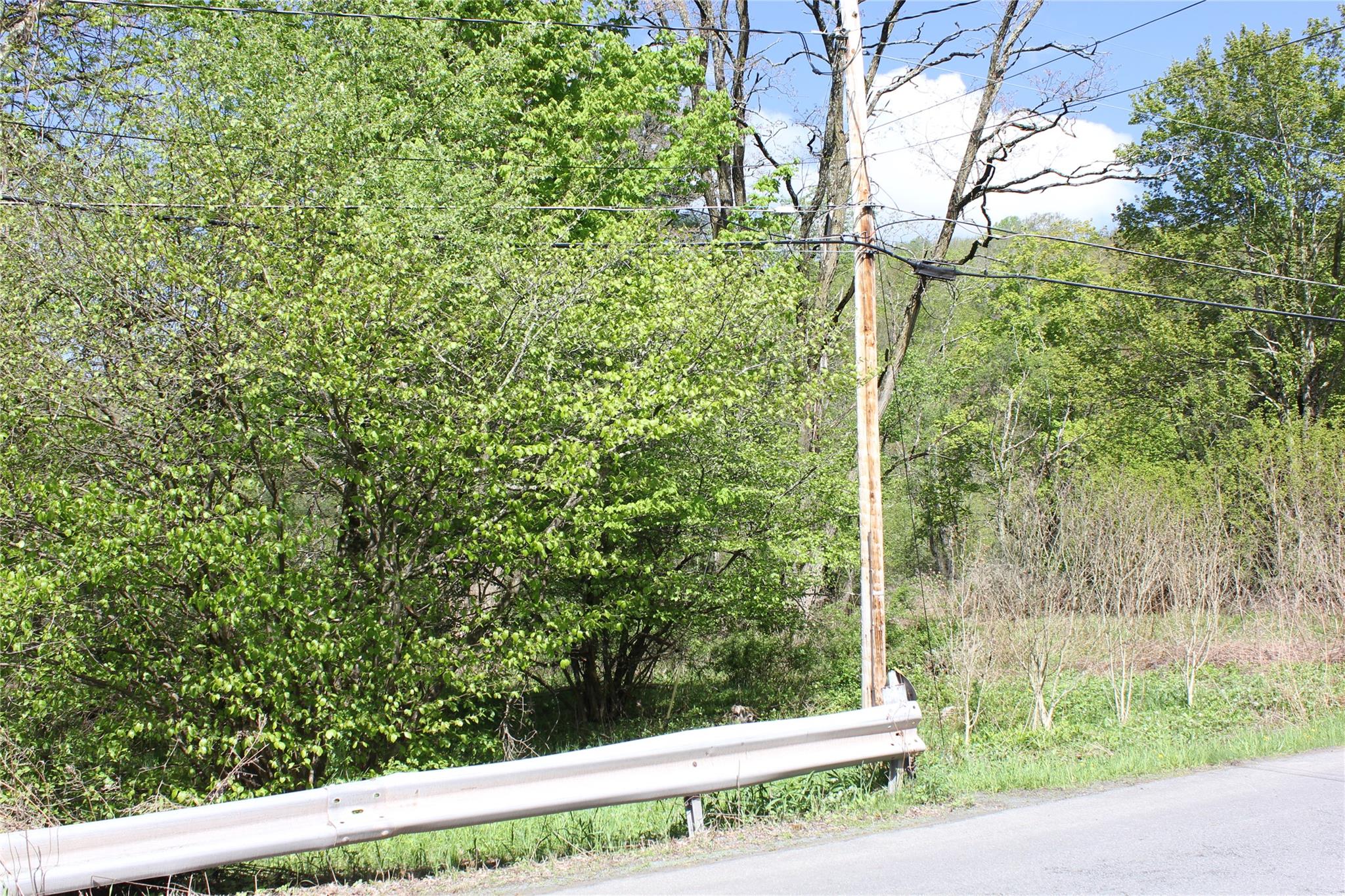 53 Menges Road Livingston Manor, NY 12758 - Photo 14 of 17 a view of a yard with flower plants and large tree