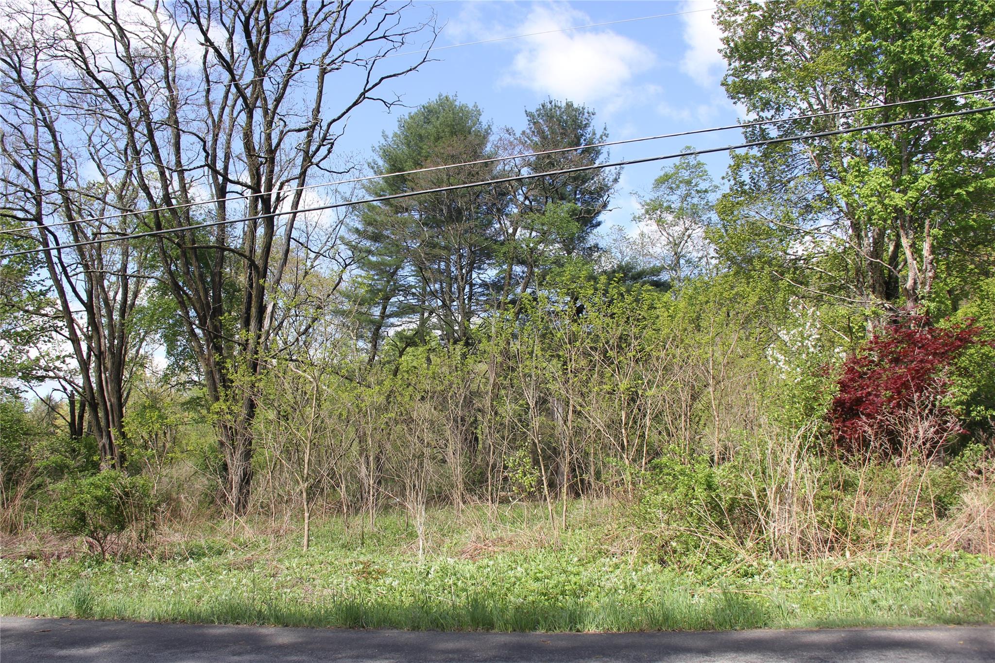 53 Menges Road Livingston Manor, NY 12758 - Photo 16 of 17 a backyard of a house with lots of green space and plants