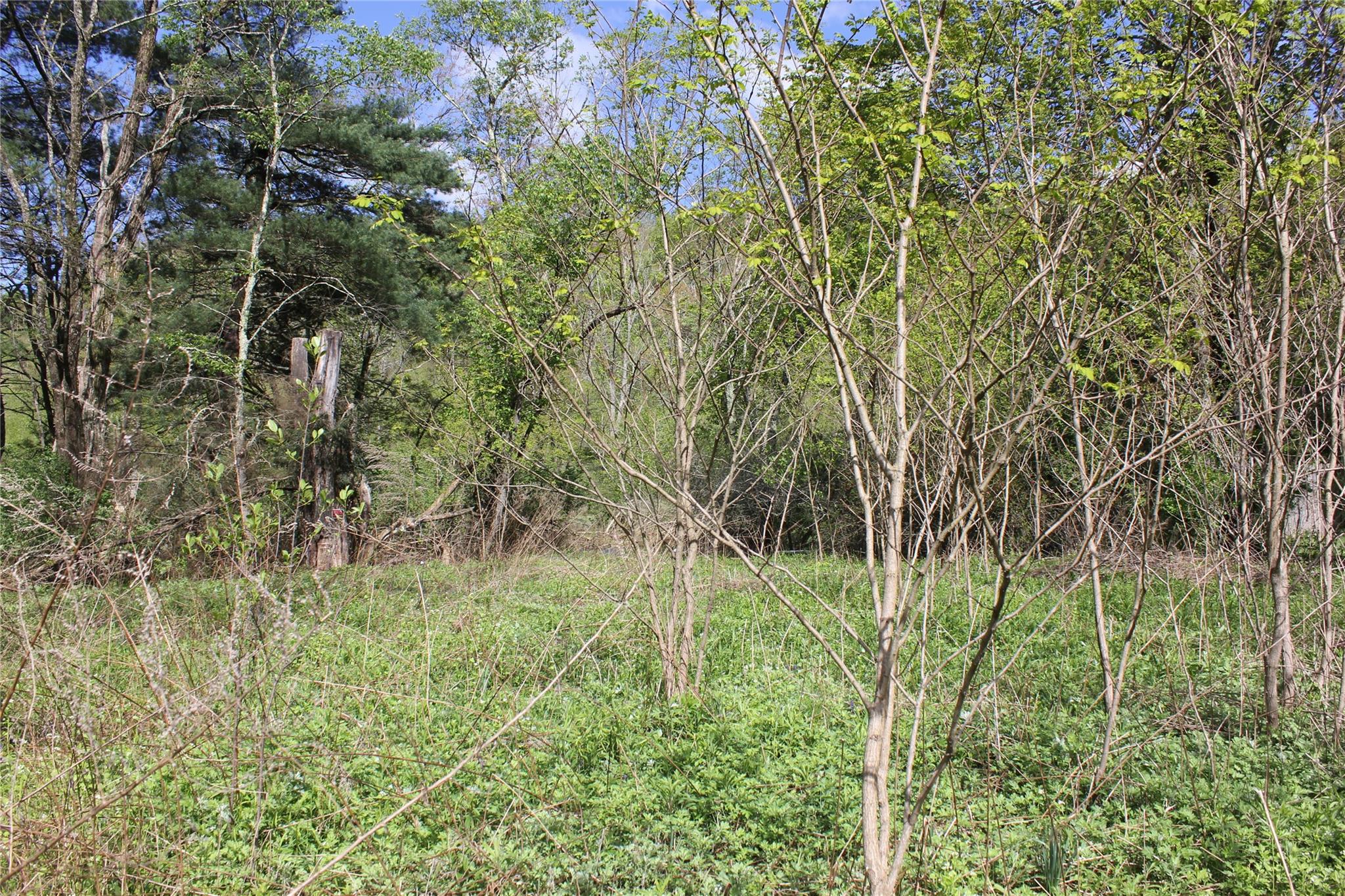 53 Menges Road Livingston Manor, NY 12758 - Photo 6 of 17 a view of a garden