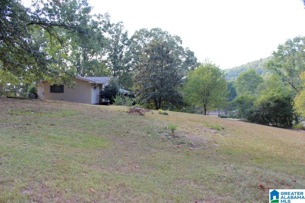 909 Mountain Brook Road Oxford, AL 36203 - Photo 44 of 49