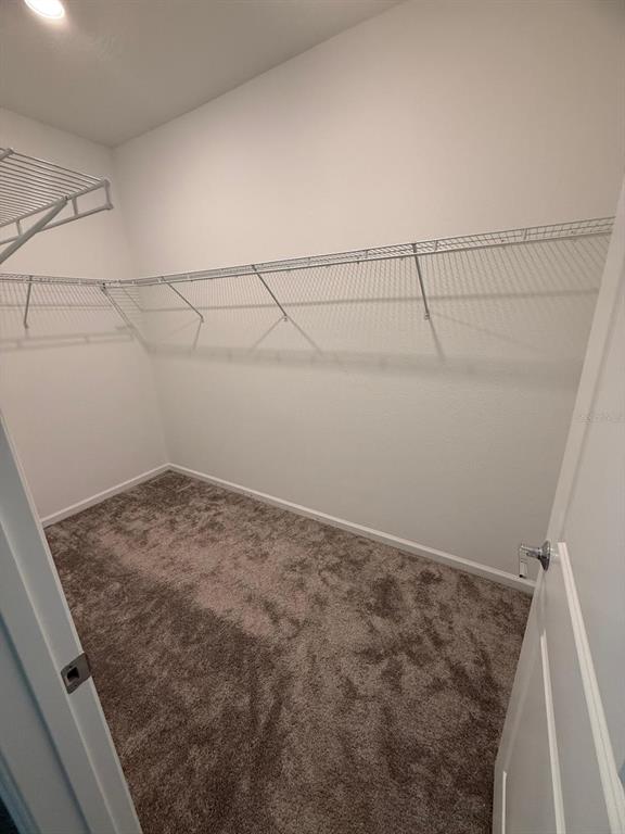 1770 Rider Rain Lane Apopka, FL 32703 - Photo 48 of 86