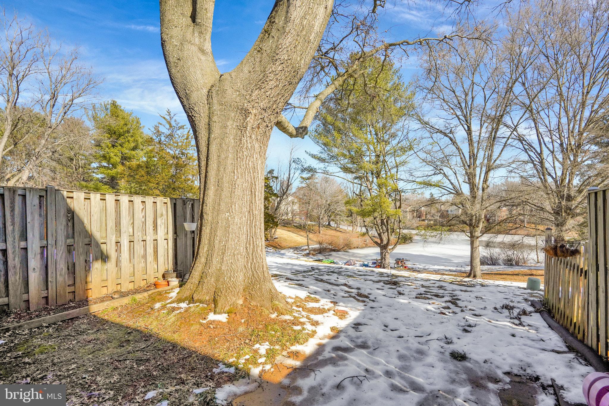 5540 Kendrick Lane Burke, VA 22015 - Photo 35 of 40 a view of a yard with plants and wooden fence